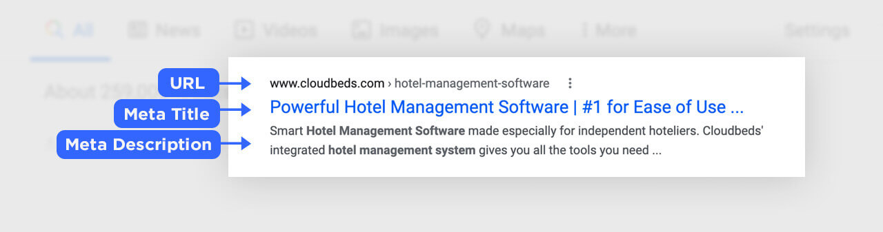 Hotel website SERP tags